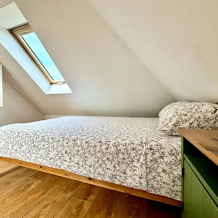 Gdzie Jest Nemo - W Centrum * Sopot