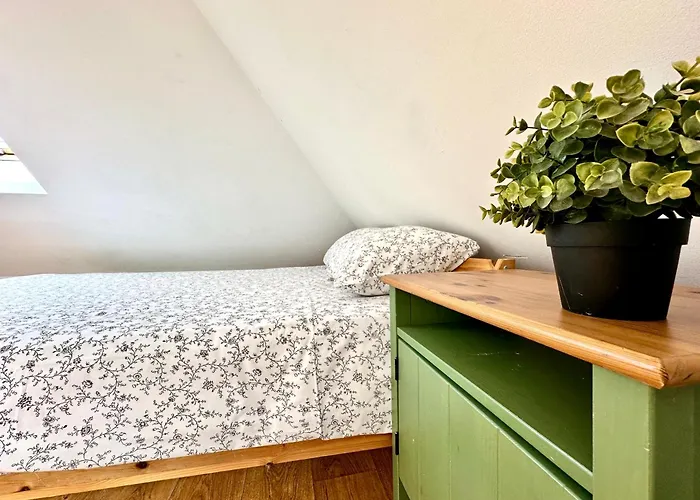 Gdzie Jest Nemo - W Centrum سوبوت