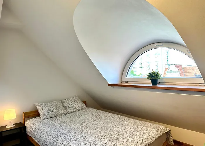 Gdzie Jest Nemo - W Centrum * سوبوت